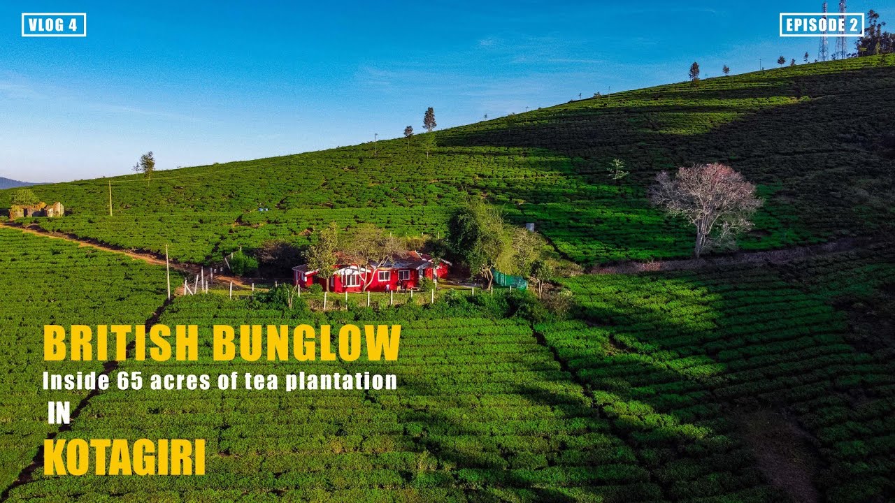 VLOG 4 BRITISH BUNGLOW INSIDE A TEA PLATATION IN KOTAGIRI EPISODE 2