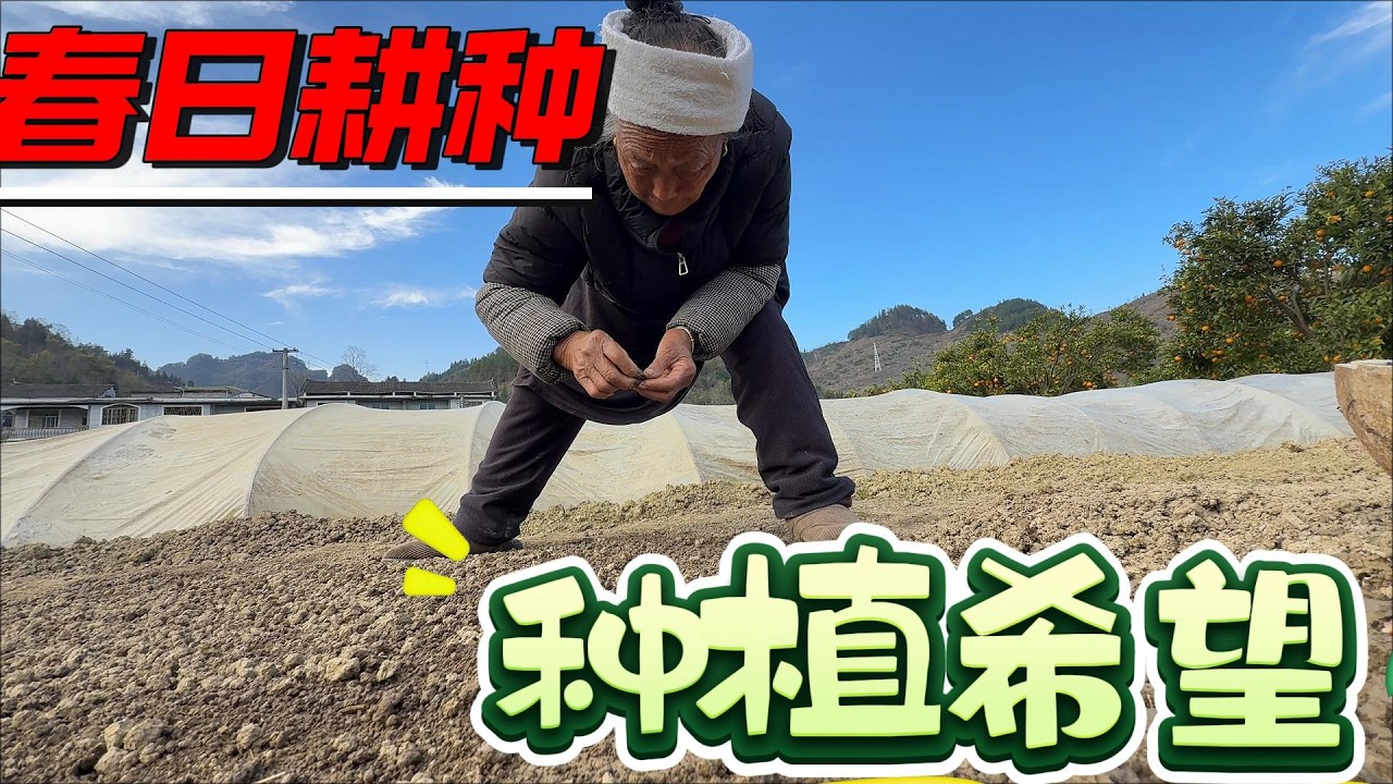 迷你大棚培育种子结束了，刚好忙完姑姑来看望奶奶。晚饭被叫去姑姑家吃，回来还给爷爷奶奶打包了。