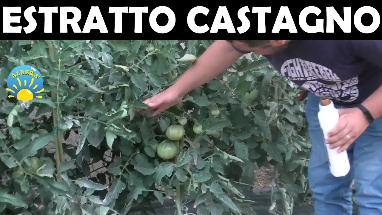 ESTRATTO DI CASTAGNO, USI IN AGRICOLTURA BIOLOGICA (TRUCCHI PER AUMENTARE L' EFFICACIA)