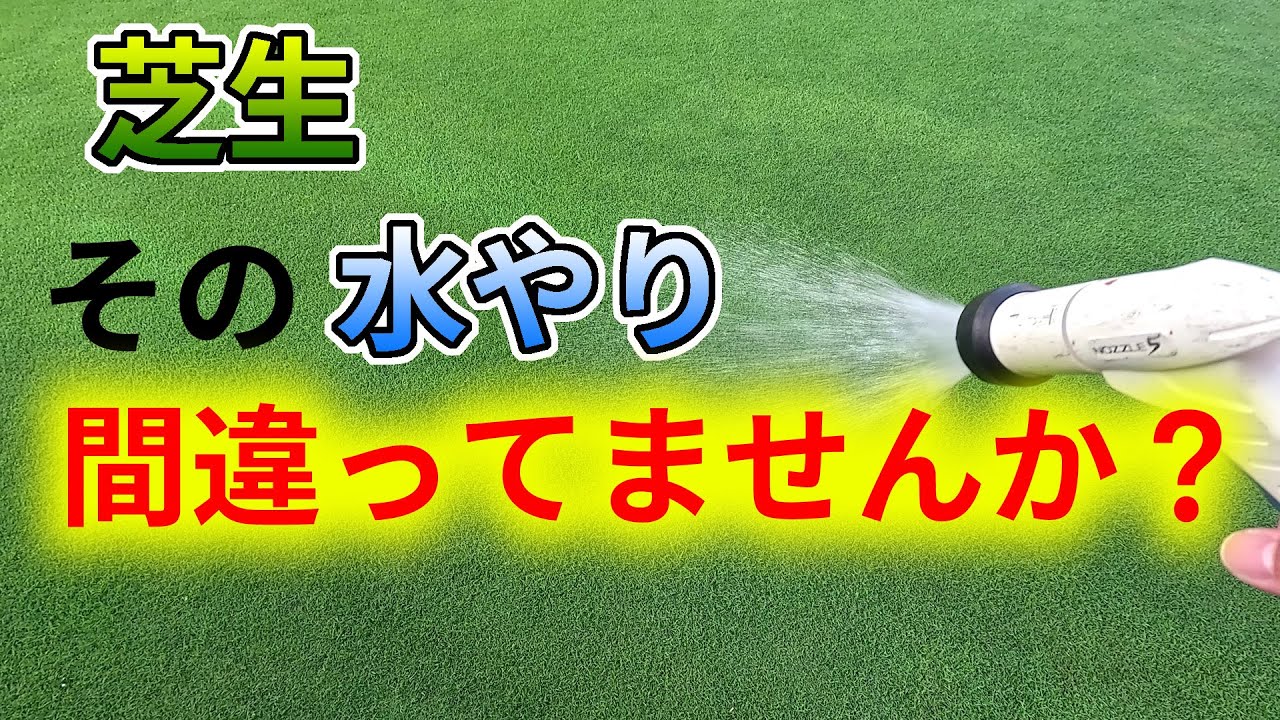 芝生の水やり、間違ってませんか？ ― 土壌と芝の違いで変わる正しい散水方法