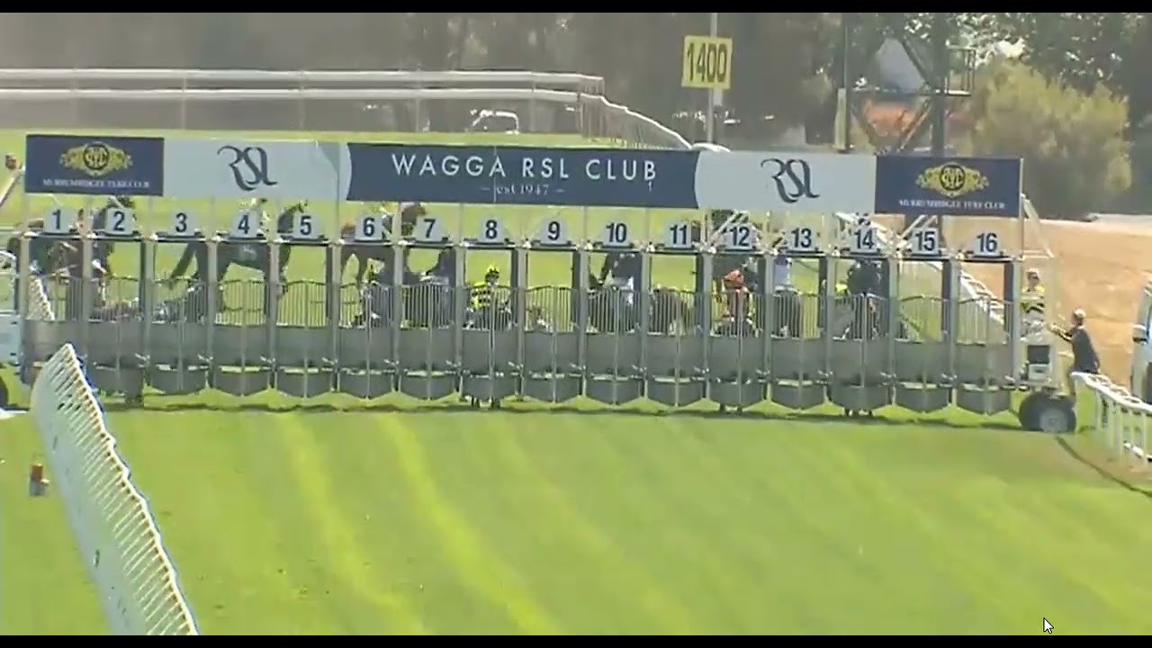 R4 WAGG AUSTRALIA - 26 JAN 2026