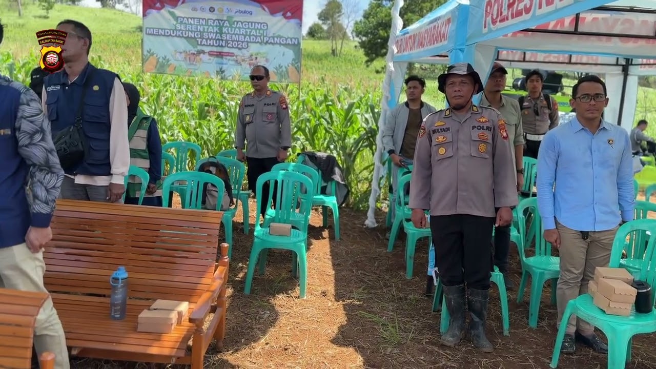 Panen Raya Jagung Serentak Kuartal I, Polres Kayong Utara Dukung Penuh Swasembada Pangan 2026