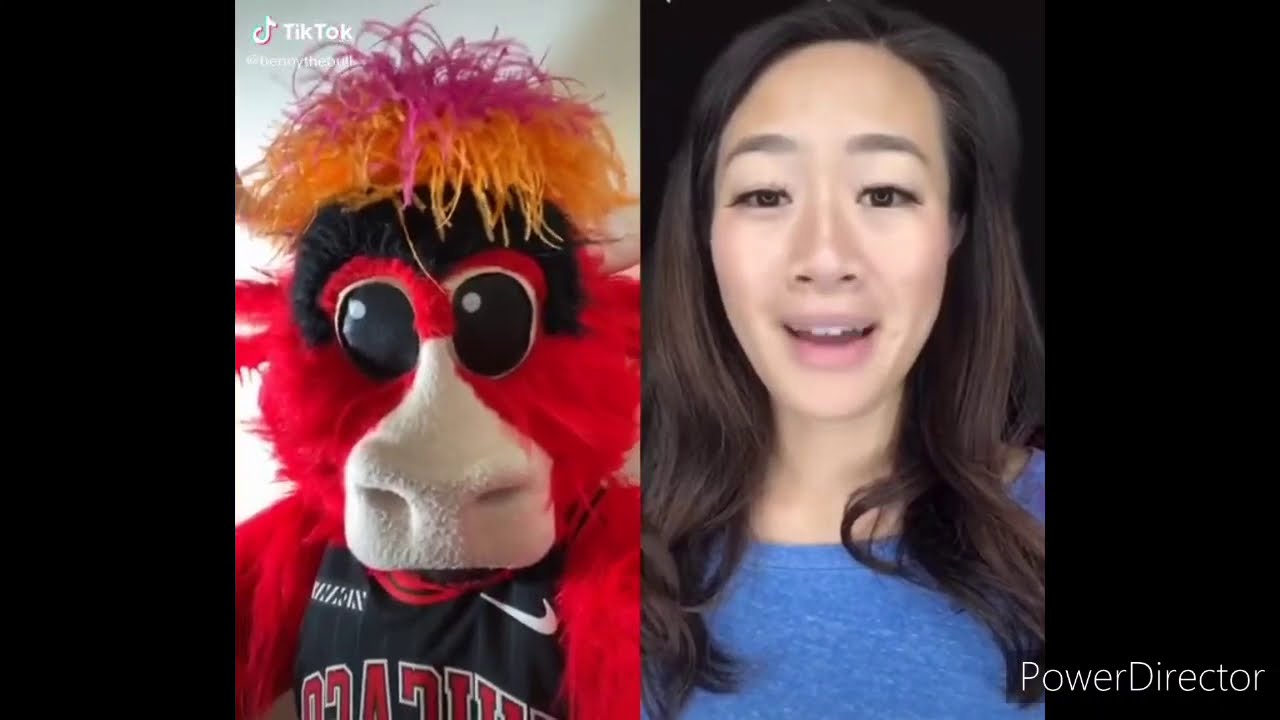 Benny The Bull TikTok Compilation 2020