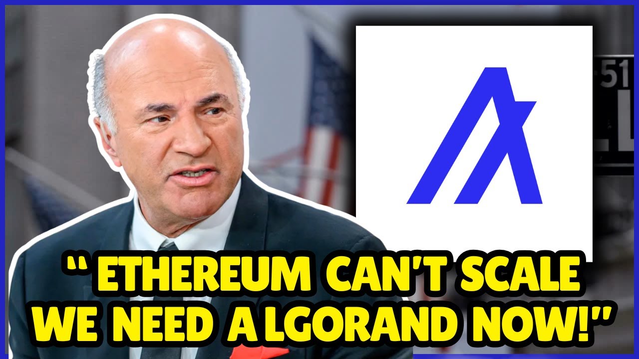 Кевин О'Лири УНИЧТОЖАЕТ Эфириум! Сможет ли ALGORAND заполнить пустоту? Google так считает...