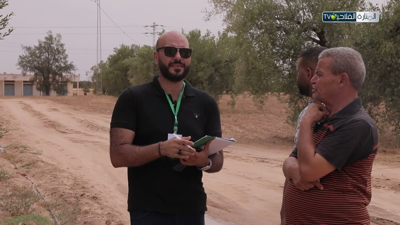 المراقبة والتصديق على الزيتون البيولوجي