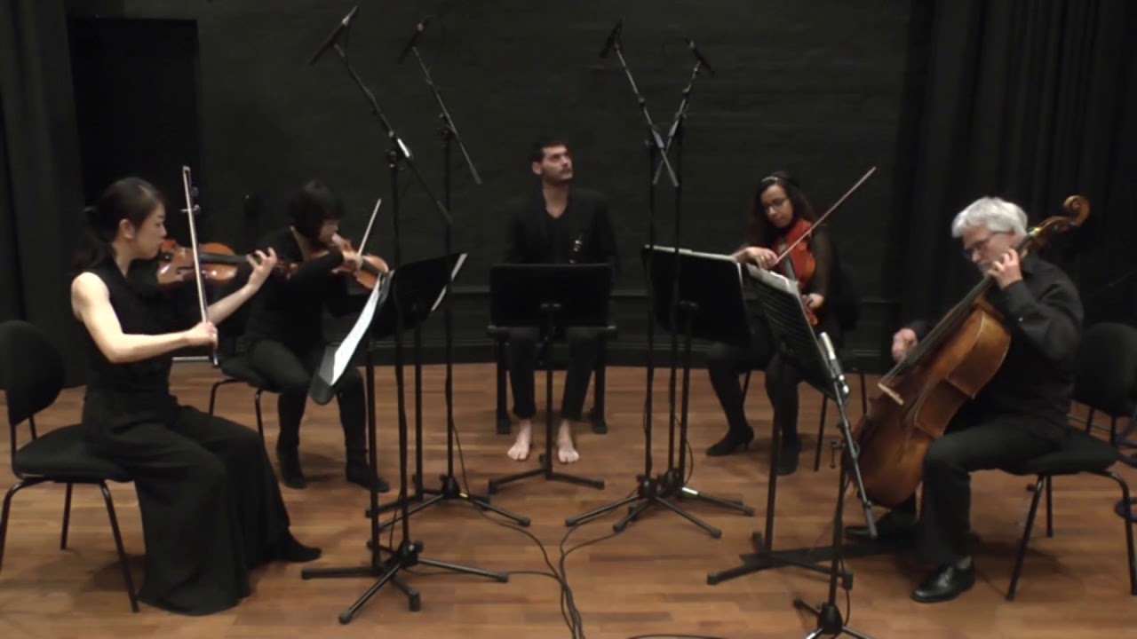 Giovanni Punzi plays Danzi's Fantasia su 