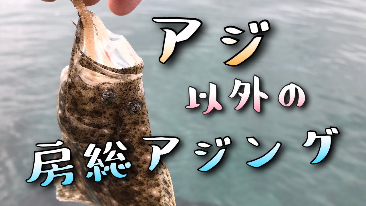 アジ以外の房総アジング！カマス&イシモチ好調！！