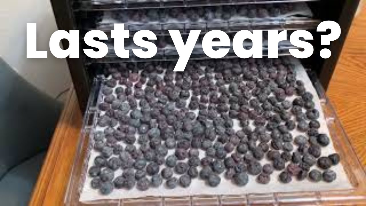 Food preservation for long term storage. How to dehydrate blueberries