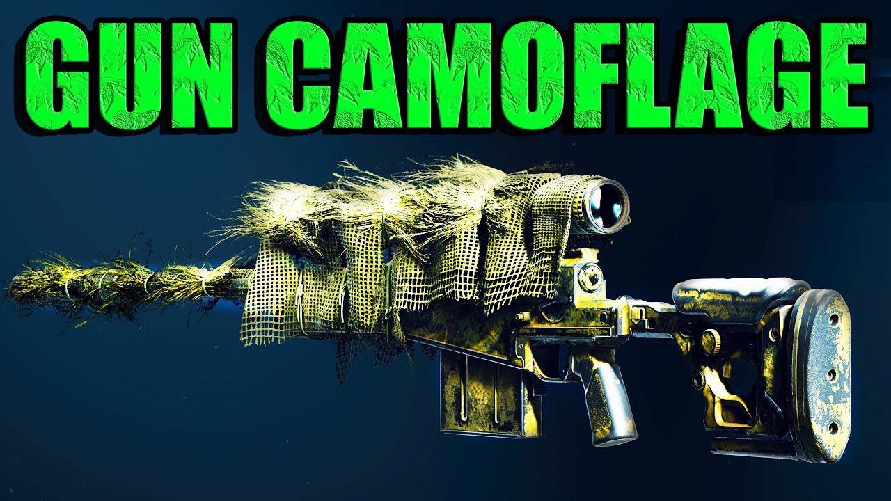 The BEST Gun Camos for PURE CAMOUFLAGE in Warzone!