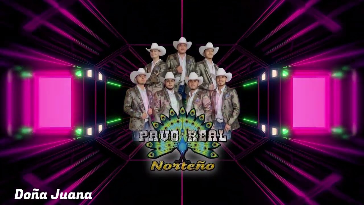 Pavo Real Norteño - El Mere Mere/Doña Juana - En Vivo - 11/14/2025