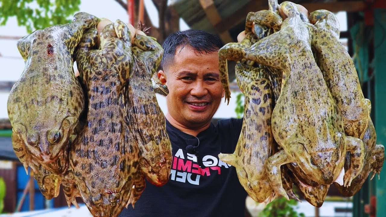 Ce Que la Chine Fait Avec Ces Grenouilles Va Vous Glacer le Sang ! 🐸