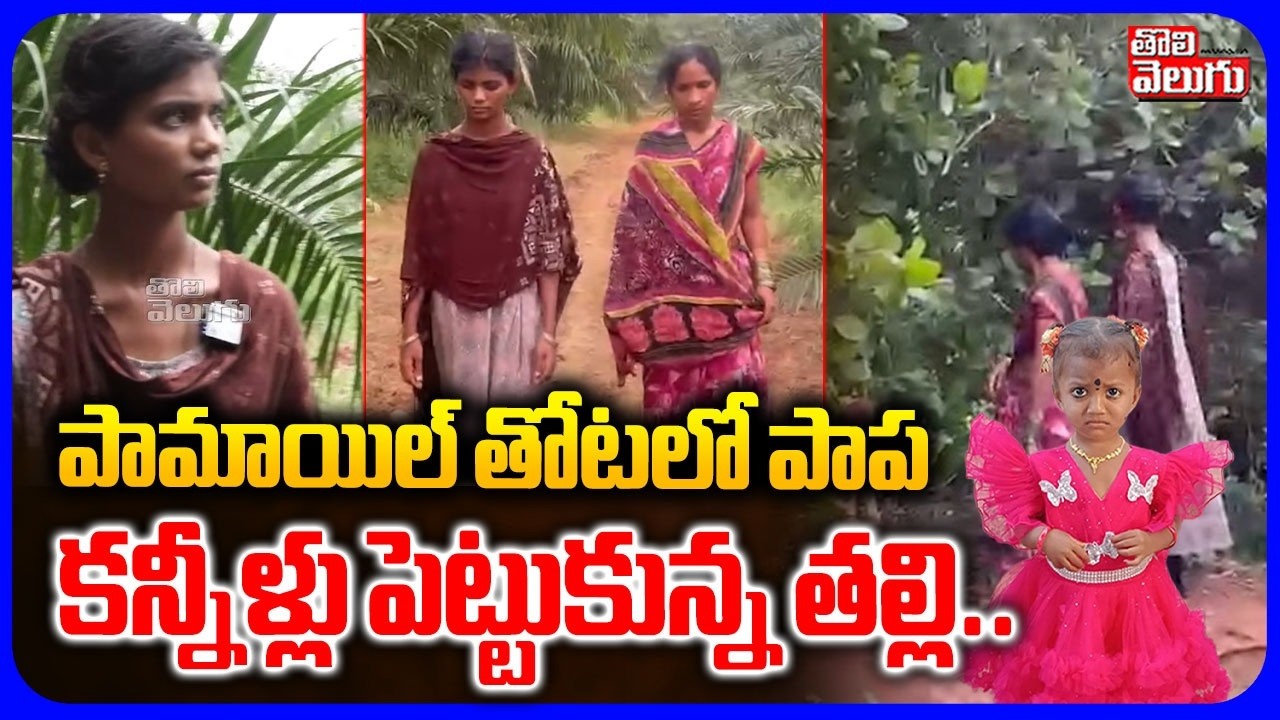 పామాయిల్ తోటలో పాప | Big Twist In Tuni 3 Years Girl Missing Case | Gnaneshwari Toys Found in Forest