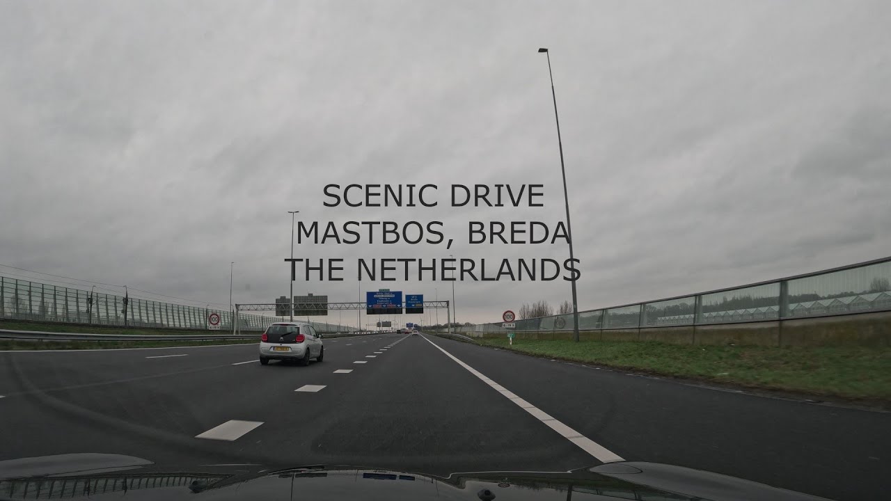 Scenic Drive - Mastbos, The Netherlands
