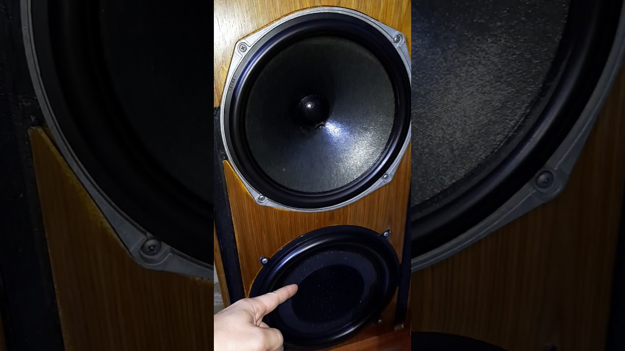 CELESTION DITTON 66 STUDIO MONITOR MUST SPEAKERS TOP HI-FI HI-END.