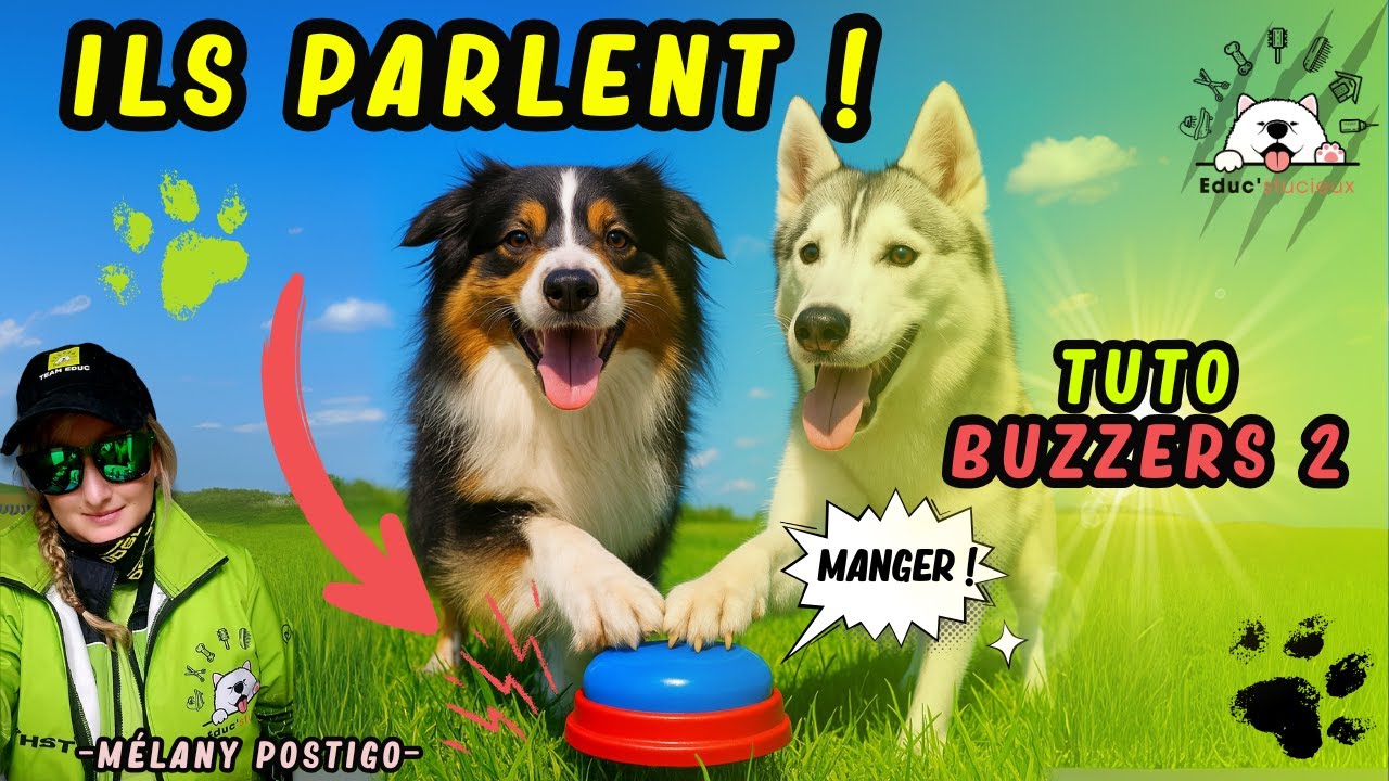 Comment apprendre &agrave; son chien &agrave; parler avec des buzzers - Tutoriel &Eacute;ducation Canine Positive