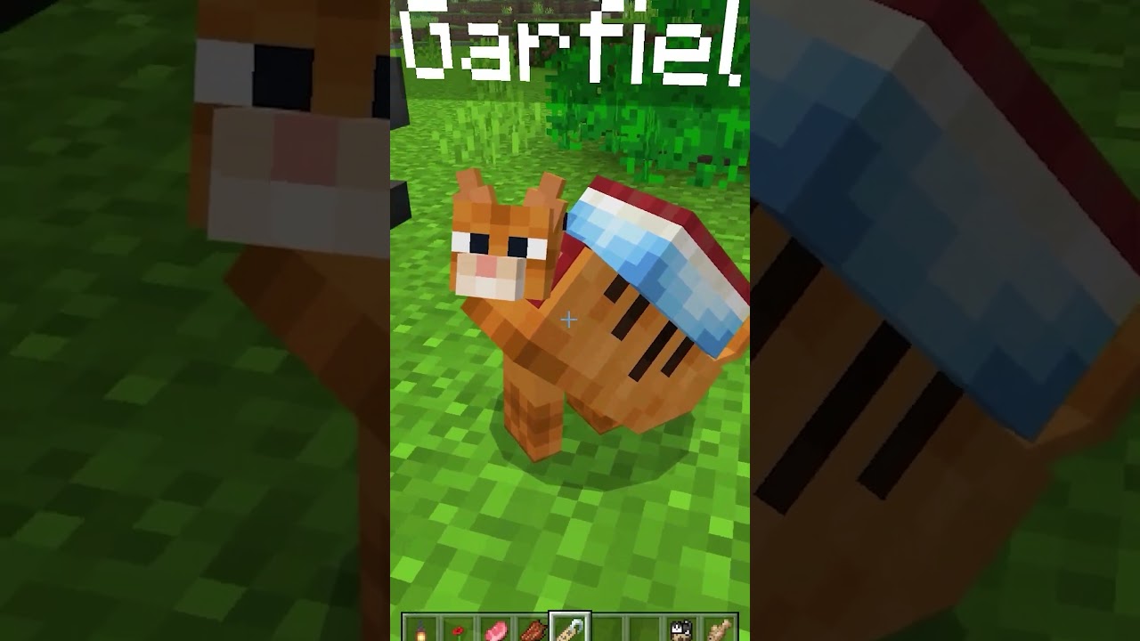 Бирка+Котик=? в Майнкрафт ПЕ (Бедрок)
