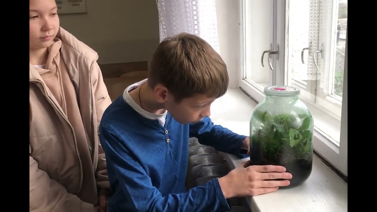 Дослідження колообігу води в штучній екосистемі