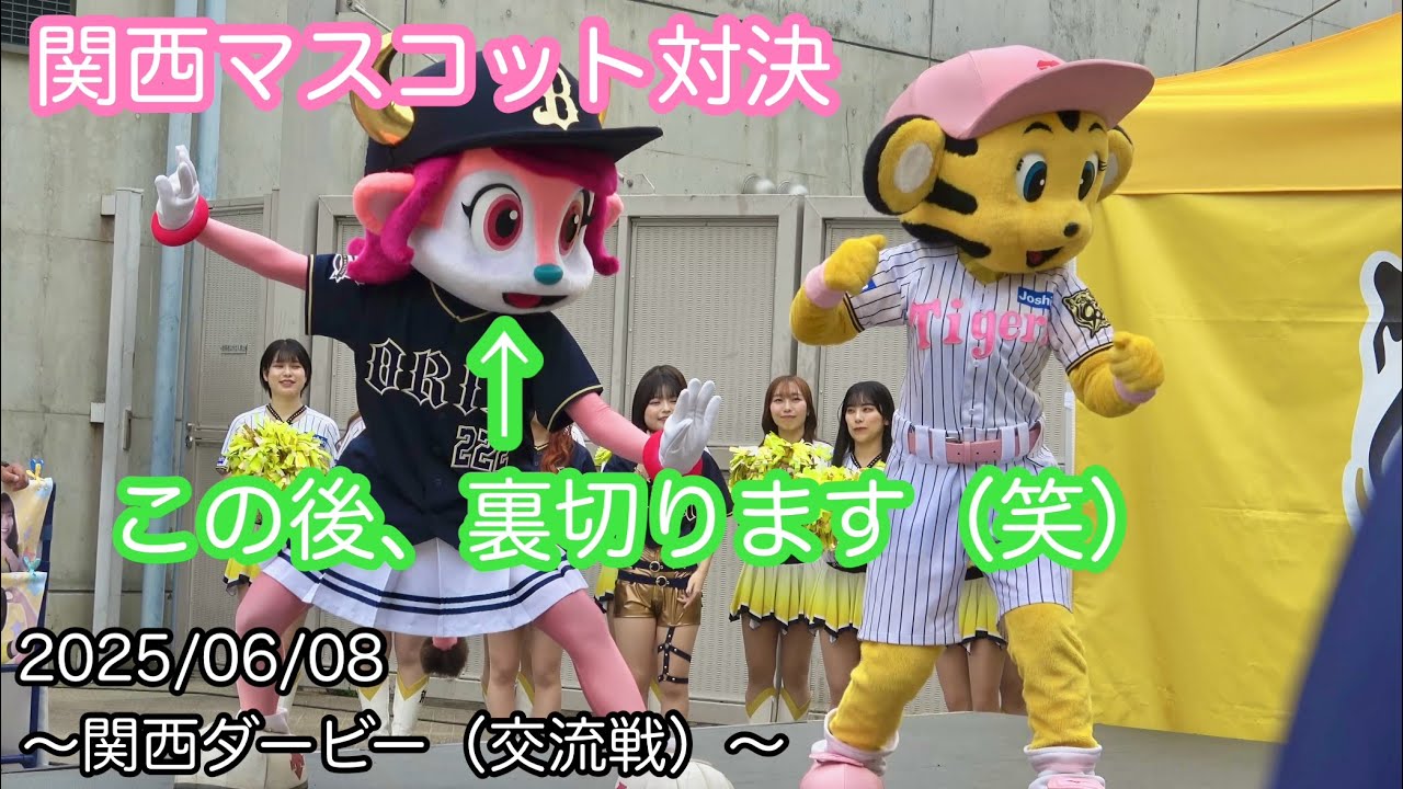 甲子園マスコットショー🐯🐮