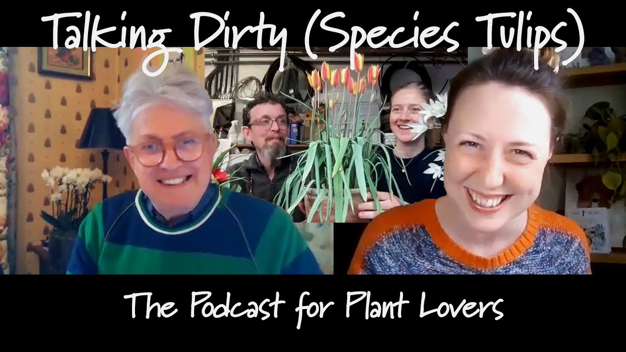 Species Tulip Special with Cambridge University Botanic Garden (Talking Dirty, Ep 118)