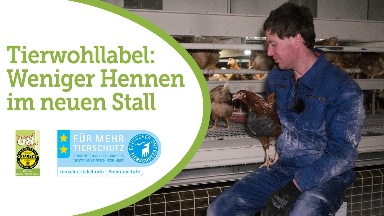 Für mehr Tierwohl: weniger Legehennen im neuen Stall