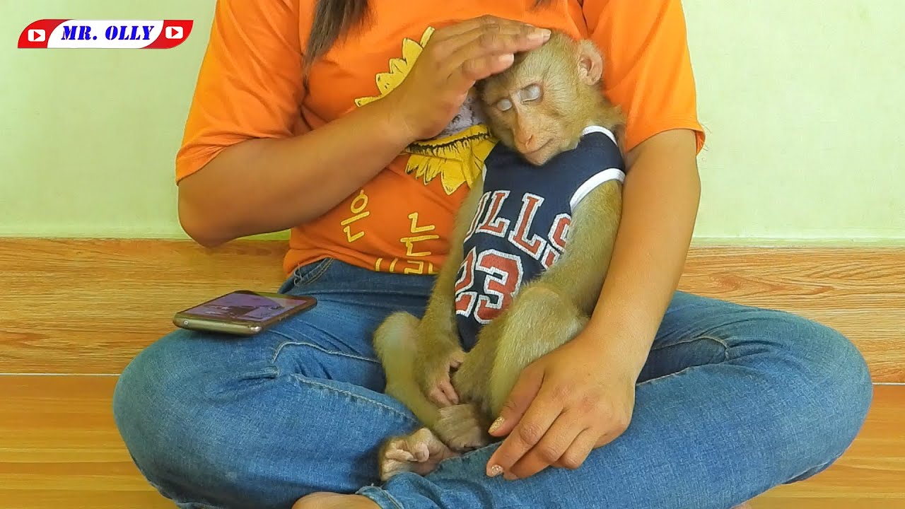 Mister Kako Sleep Hug Mom Like Human Baby