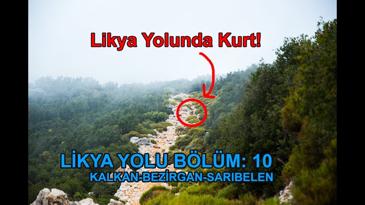 Likya Yolu Bölüm 10: Kalkan-Bezirgan-Sarıbelen Likya Yolunda Kurt! Onur Benli Anlatımıyla.