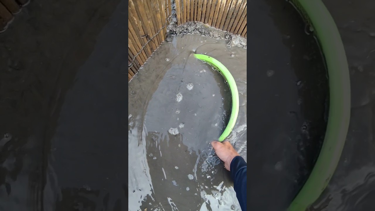 #vlog #fish #sanbattunhien #2025shorts #miềnt&acirc;ys&ocirc;ngnước #batcamientay
