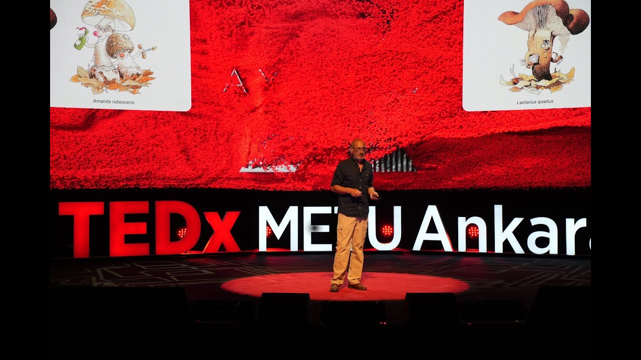 Mantarlara Dair Bil(me)diklerimiz | Jilber Barutçiyan | TEDxMETUAnkara