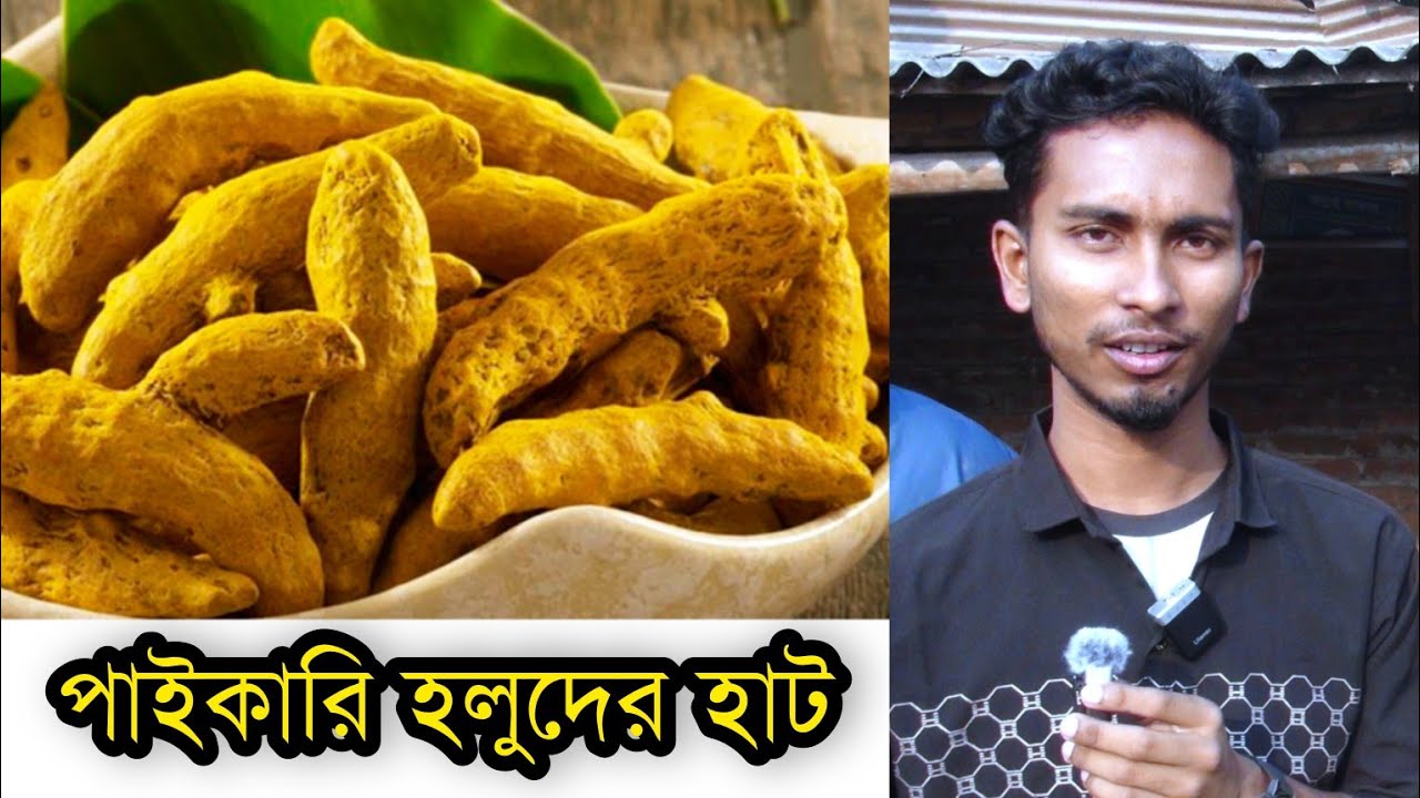 রাজশাহীর বিখ্যাত আড়ানী হলুদের হাট। কাচ ও শুকনা হলুদের দান।