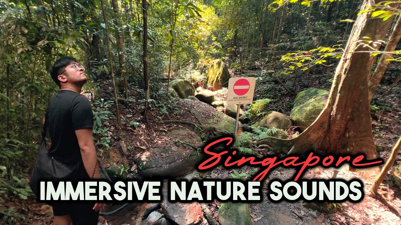 2.5 Hours SINGAPORE Nature Sounds | Immersive & Relaxing Hike | 1-Take Adventure POV and ASMR