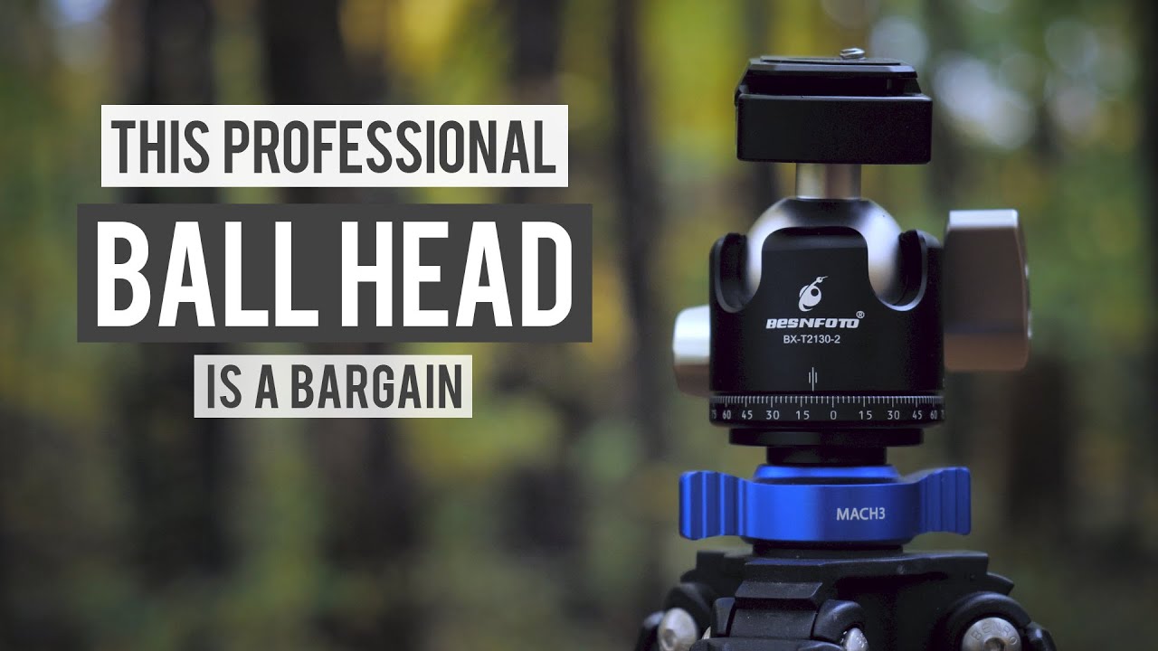 Best Bargain Ball Head