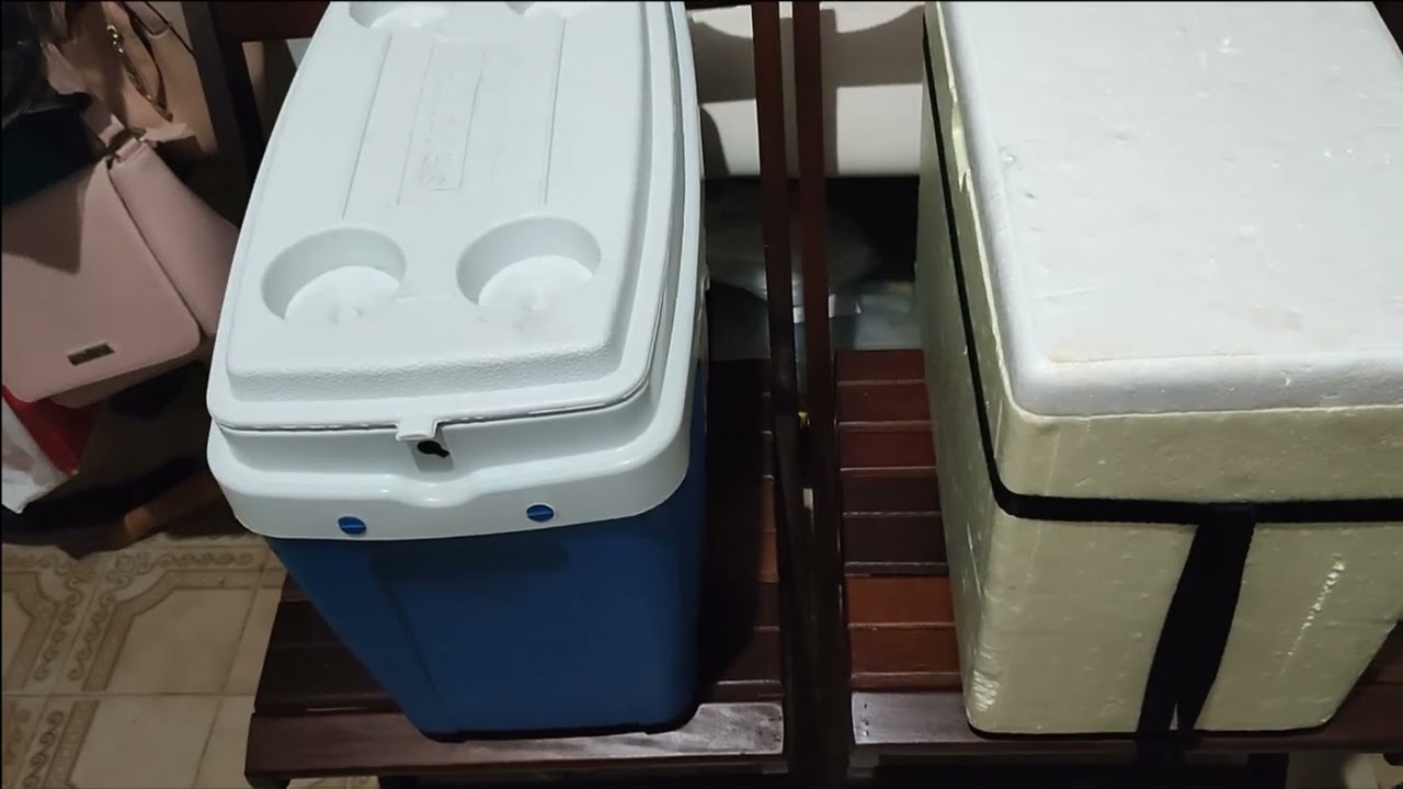 Teste: Caixa térmica de Isopor X Plástico