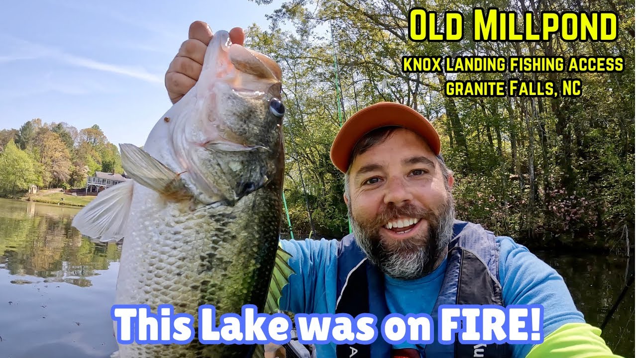 Great Day of Kayak Bass Fishing - Old Millpond - Knox Landing Fishing Access - Granite Falls, NC