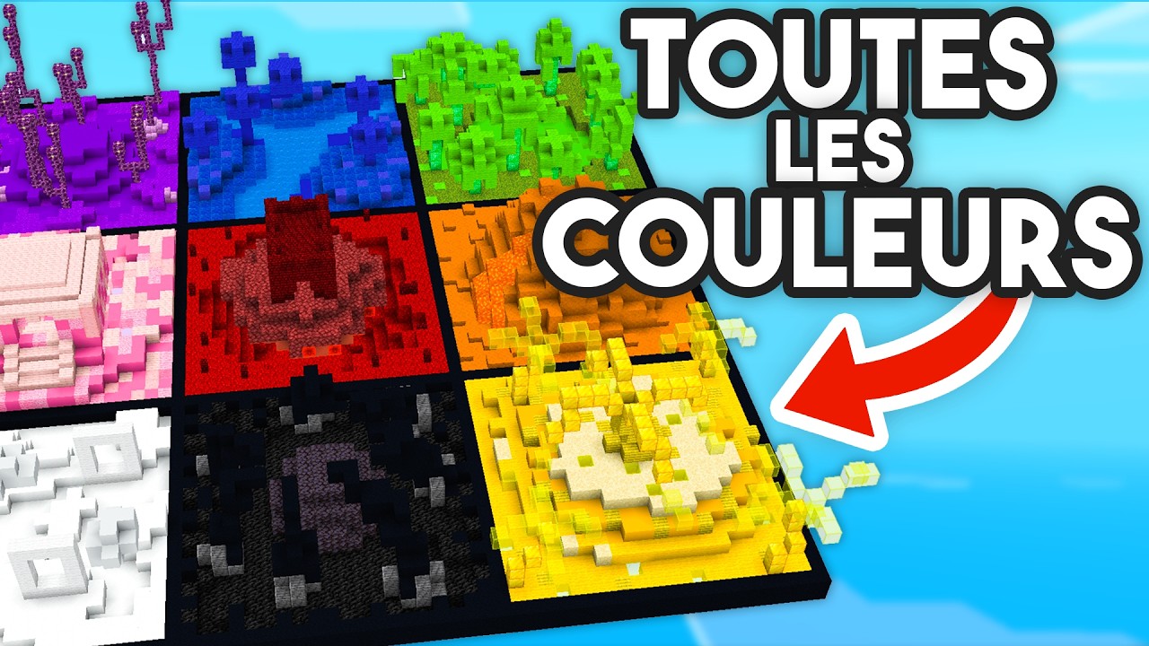 J'ai construit un biome de TOUTES les COULEURS sur Oneblock Minecraft