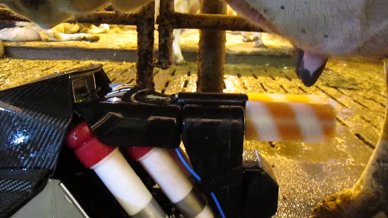 Technique de traite Lely