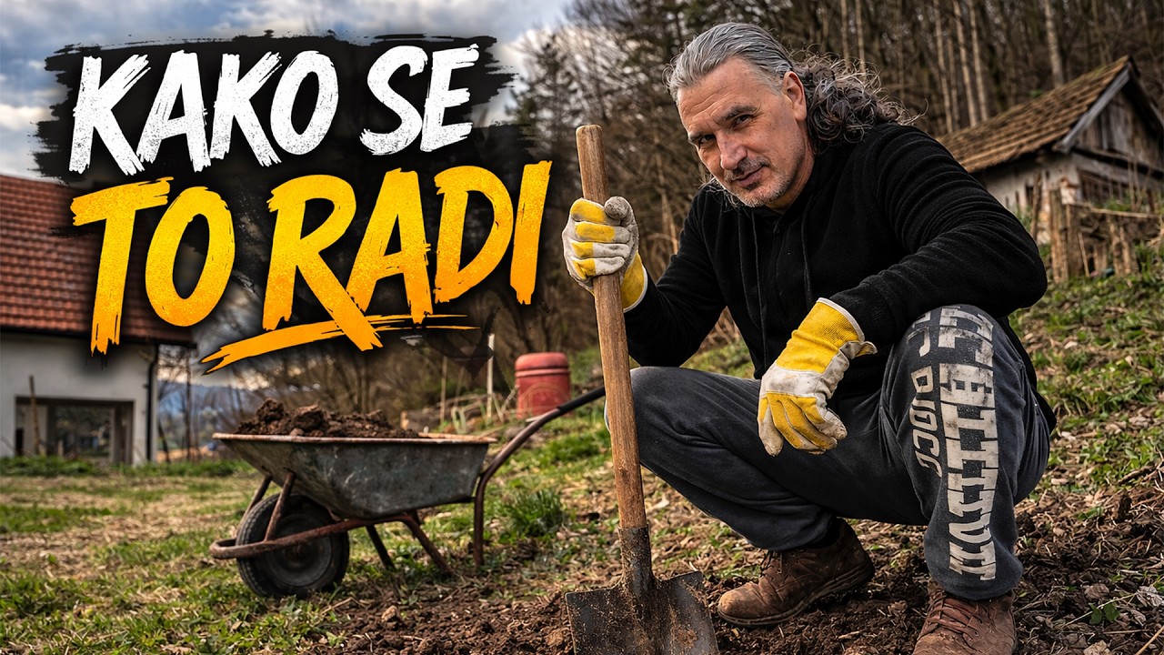 &Scaron;i&scaron;amo smokve,čistimo i sadnja kaki jabuke,da li će nas ki&scaron;a zeznuti