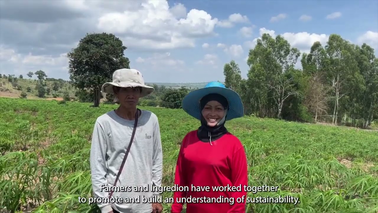 SAI Platform FSA: Focus on Thailand