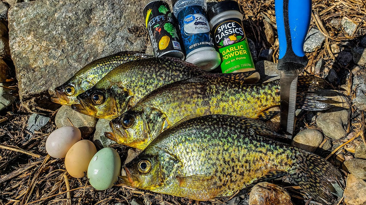 Pre-Spawn Crappie Mission Catch & Cook - INSANE Feeding Frenzy!
