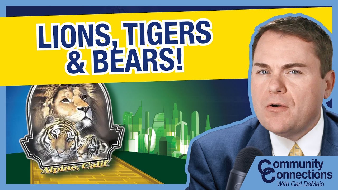 Lions, Tigers & Bears!
