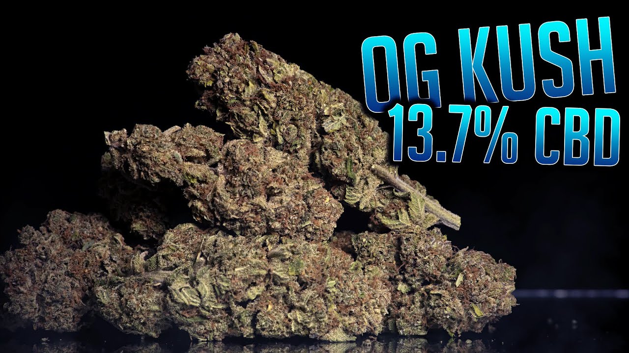 OG KUSH 13.7% CBD | TheCBDFlowerShop