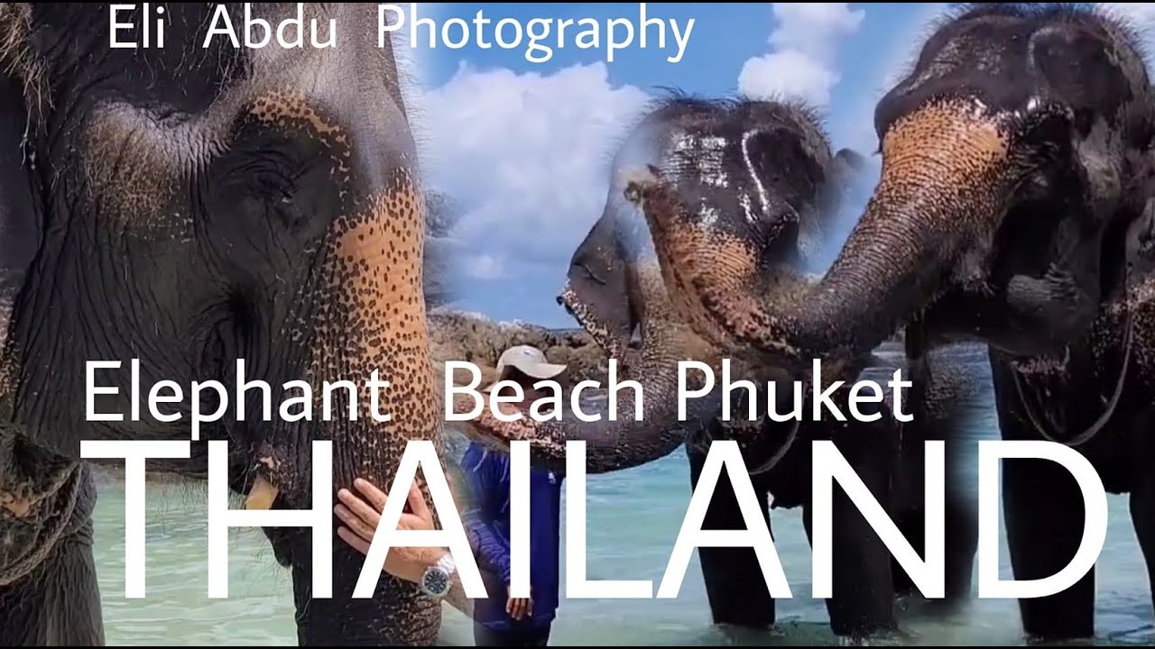 Elephant Beach Phuket 2024  חוף הפילים  ♥♥♥🏝️🏝️  🏝️