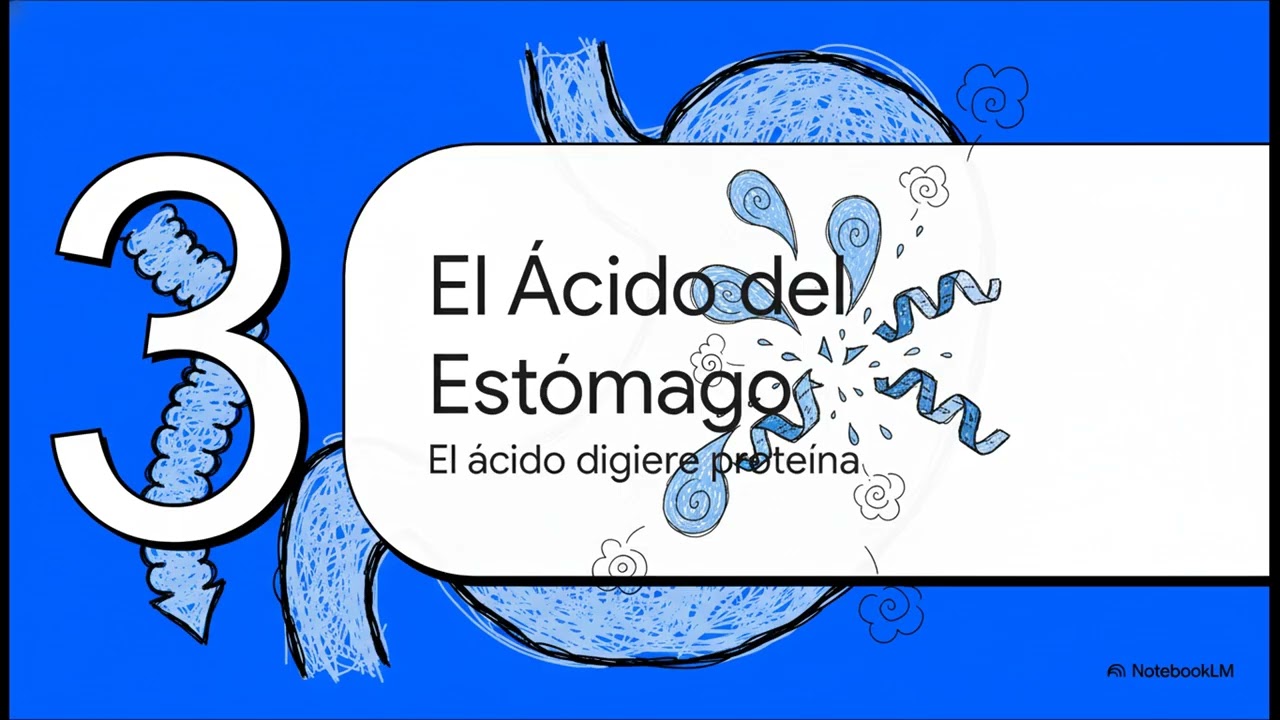 Un Viaje por el Intestino