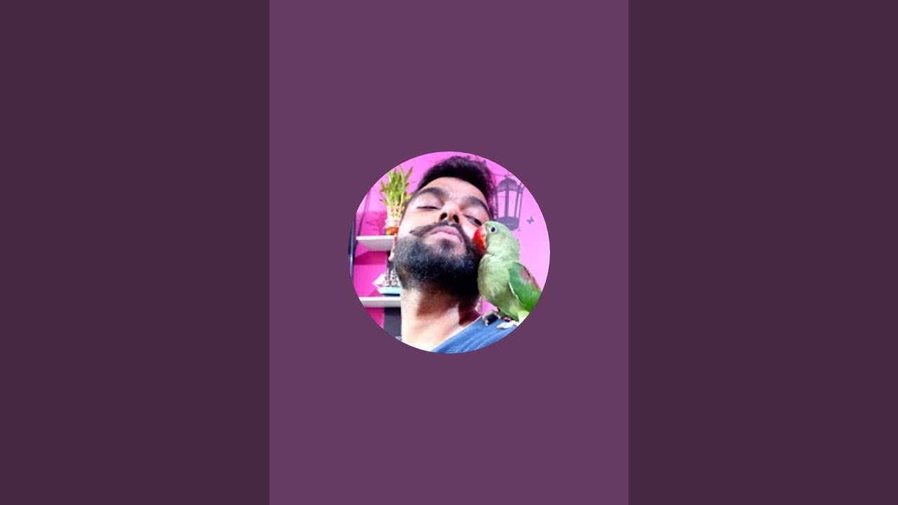 Arpan Birds World  is live