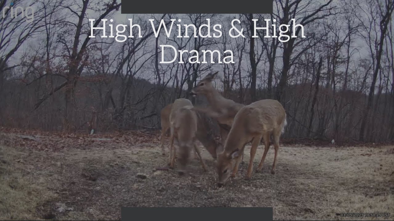 Wind, Drama, Rain, & Snow