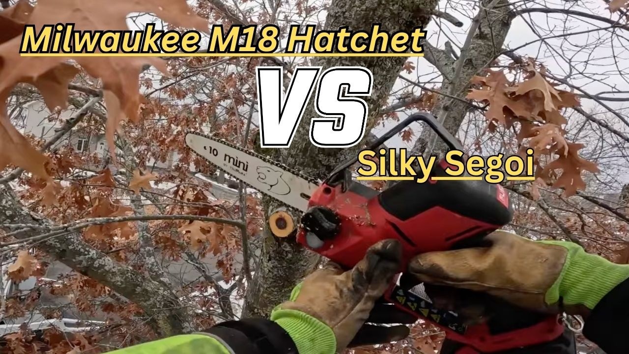 Milwaukee M18 Hatchet vs Silky Segoi on an Oak Prune