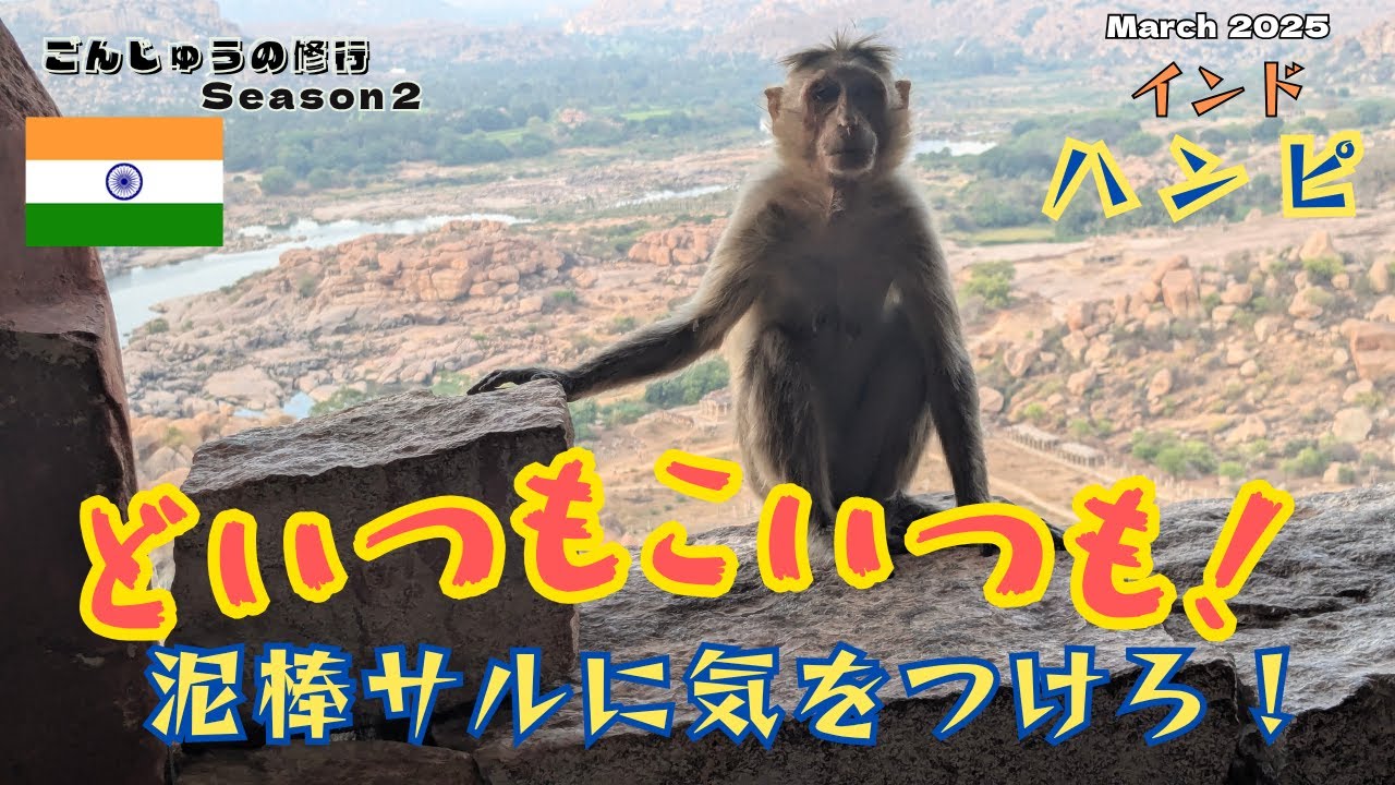 ハンピ修行 【奇岩の町ハンピ到着！夜行バスで早朝着→自転車で遺跡巡り｜まるでカッパドキア×ウルル？】野良牛、野良サル、自然がいっぱいだワン！