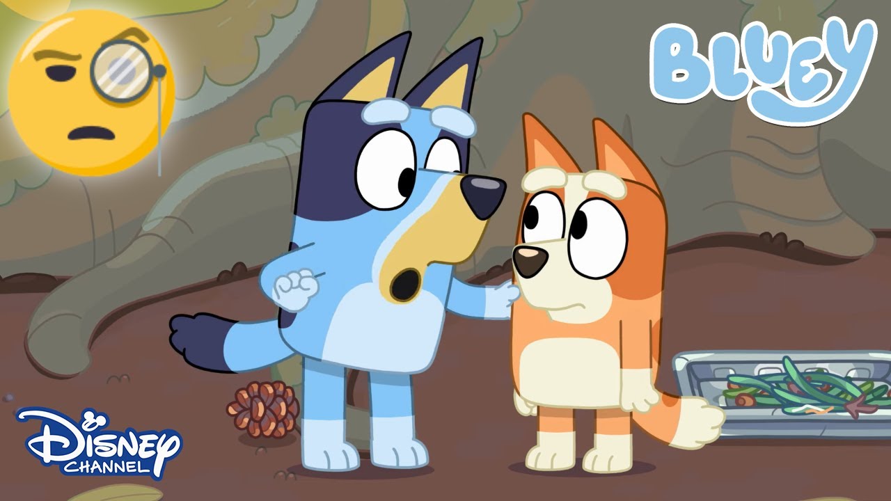 Casusluk Oyunu🕵 | Bluey | @DisneyPlusTR