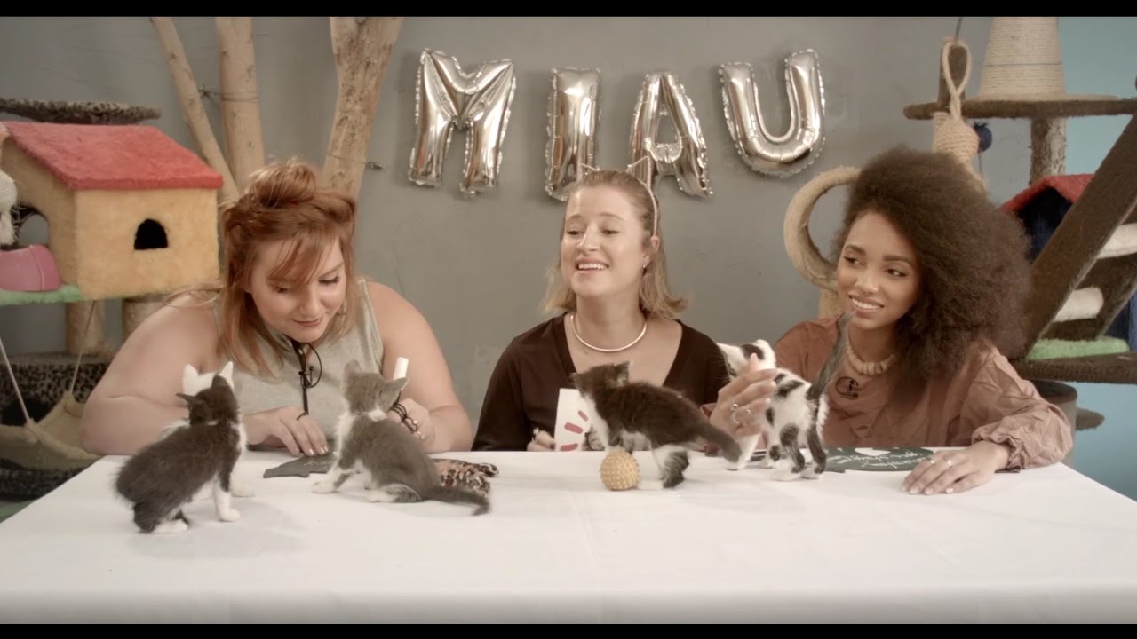 YES WE CAT: Moda com Ju Romano e Nátaly Neri