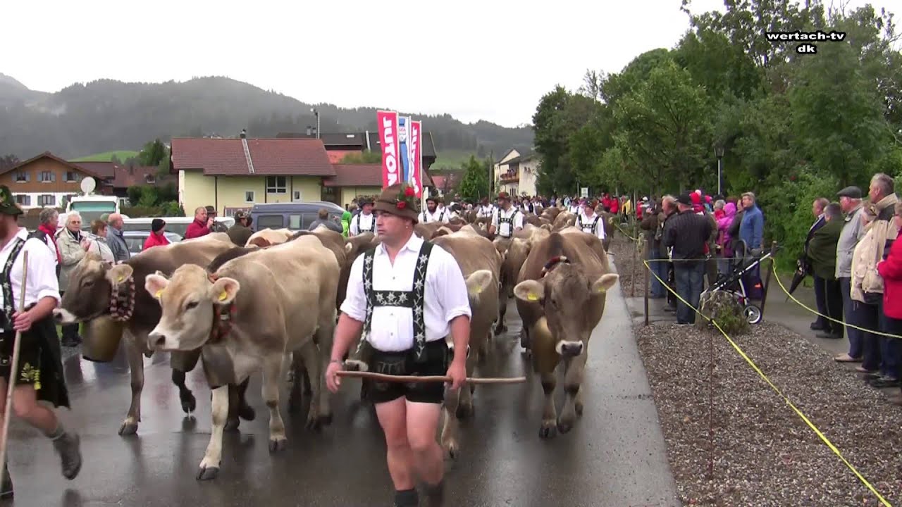 Viehscheid Wertach 2013 Almabtrieb u Krämermarkt
