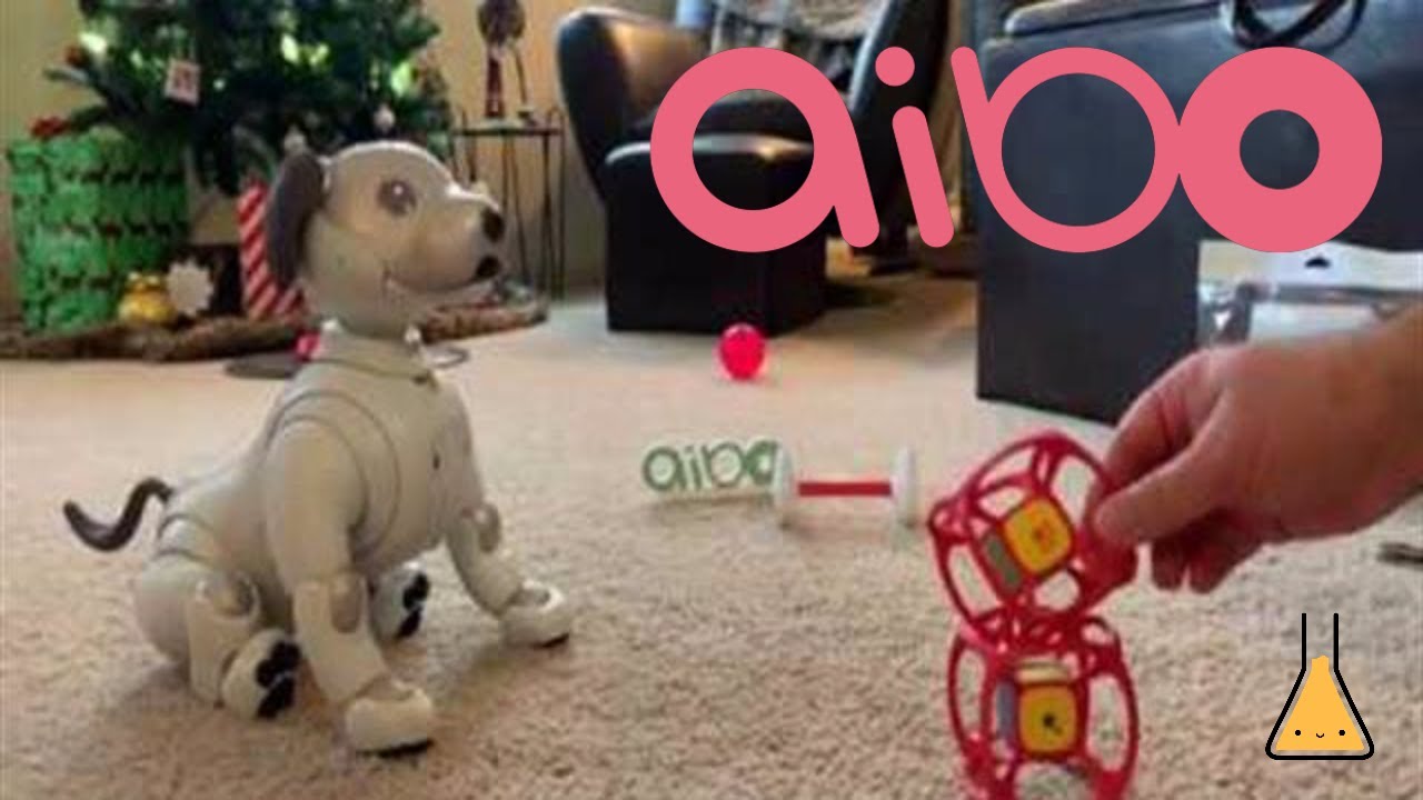 New Sony Aibo Dice Unboxing with Bolt